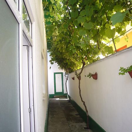 Apartamente Pinciuc Costinesti Eksteriør billede